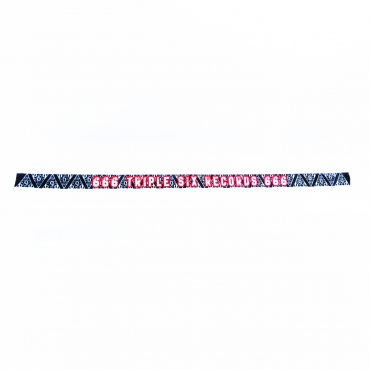 Triple Six Festival Band