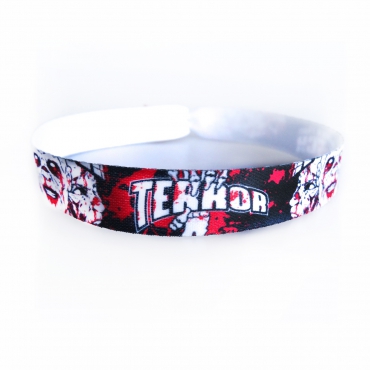 Terror festival band 'Harder than fuck'